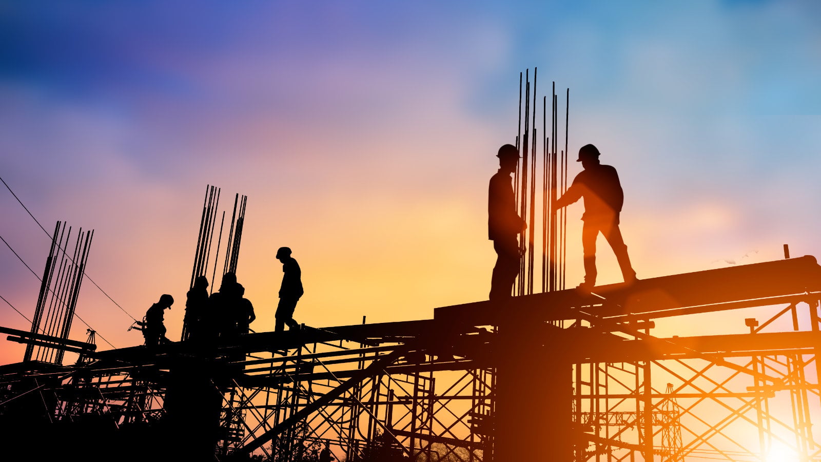 Construction Bid Source services overview